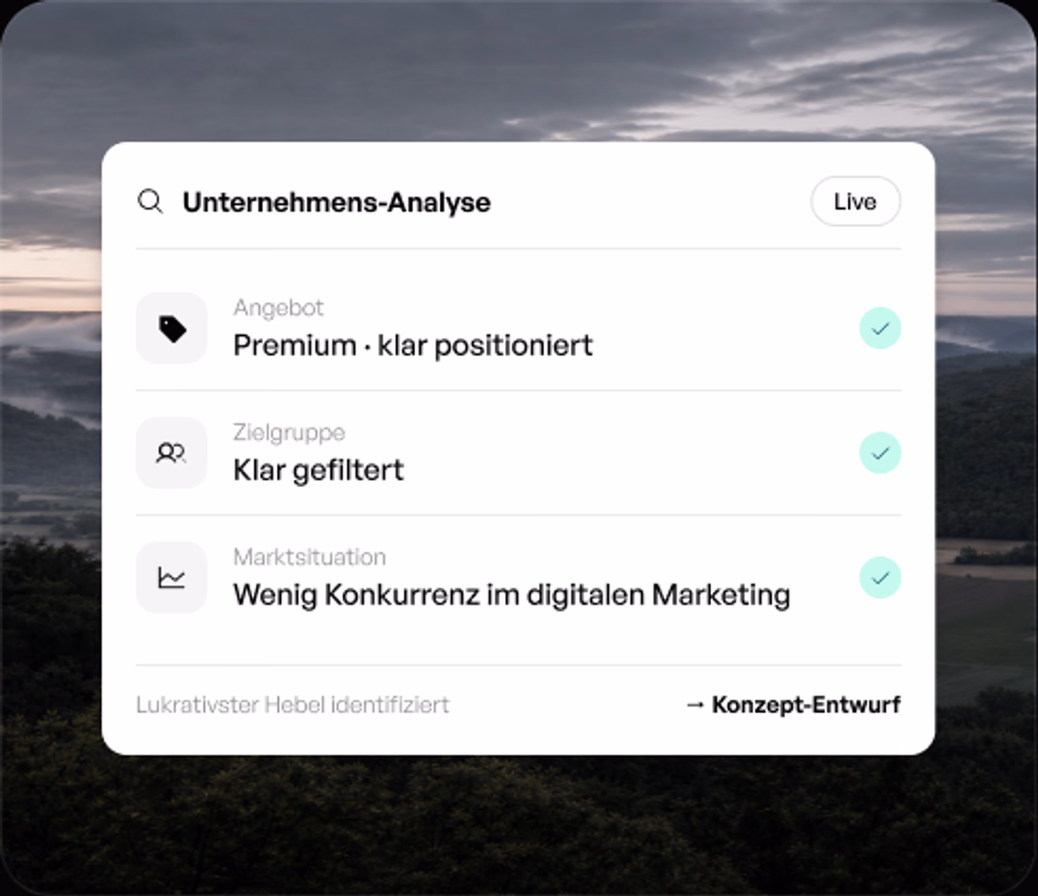 Unternehmensanalyse Auszug Beispiel einer Hunsrücker Werbeagentur