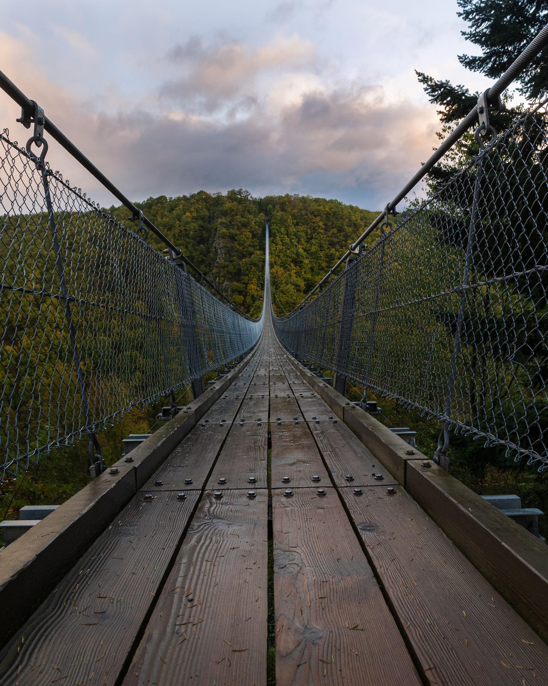 Hängeseilbrücke Geierlay im Hunsrück